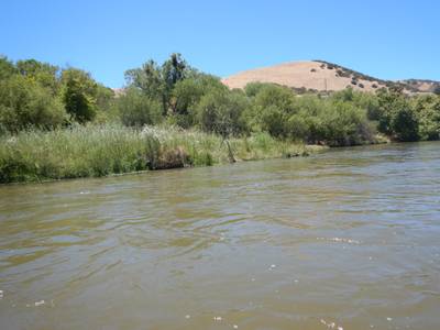 Bradley - 2021-06-11