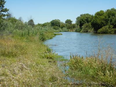 Bradley - 2021-06-11