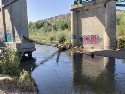 Bradley - 2021-08-26