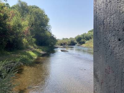 Bradley - 2021-08-26