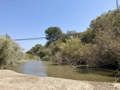 David Road Bridge - 2021-08-30