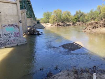 Bradley - 2023-04-15