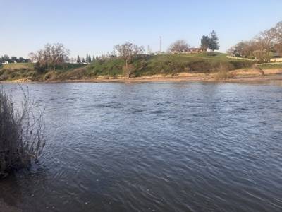 Sycamore De Anza Trail - 2024-03-09