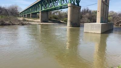 Bradley - 2024-03-09