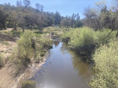 Salinas River Bridge - 2026-03-14