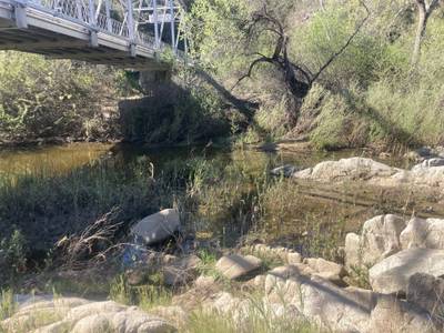 Salinas River Bridge - 2026-03-14