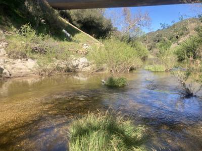 Salinas River Bridge - 2026-03-14