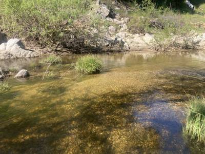 Salinas River Bridge - 2026-03-14