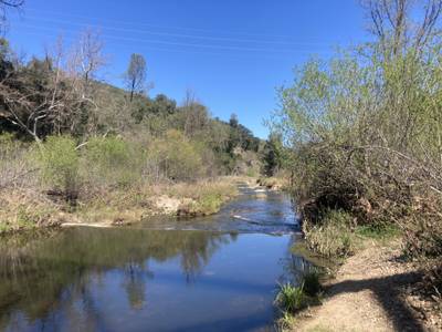 Las Pilitas Bridge - 2026-03-14