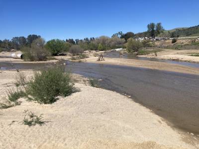 Halcon Road - 2026-03-14