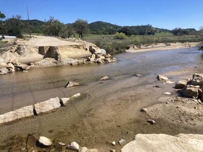 Halcon Road - 2026-03-14