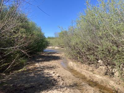Gabarda de Anza Trail - 2026-03-14