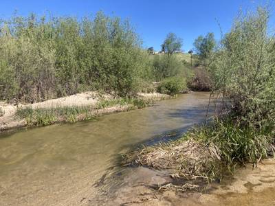 Gabarda de Anza Trail - 2026-03-14