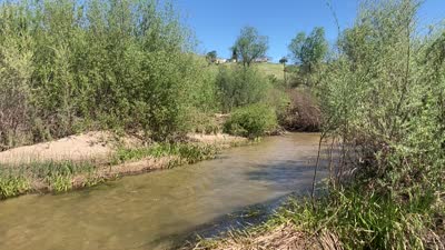 Gabarda de Anza Trail - 2026-03-14