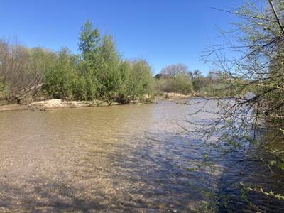 Templeton High School - 2026-03-14