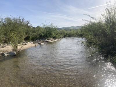 Sycamore De Anza Trail - 2026-03-15