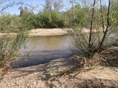 Sycamore De Anza Trail - 2026-03-15