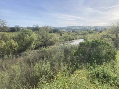Sycamore De Anza Trail - 2026-03-15