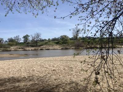 Ramada Drive - 2026-03-15