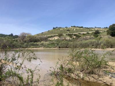 Salinas River Trail - 2026-03-15