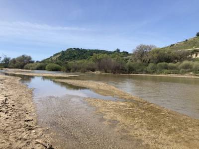Salinas River Trail - 2026-03-15