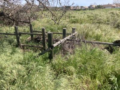 Salinas River Trail - 2026-03-15