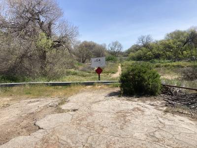 Wellsona - 2026-03-15