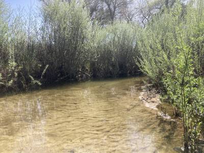 Wellsona - 2026-03-15