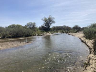 Wellsona - 2026-03-15