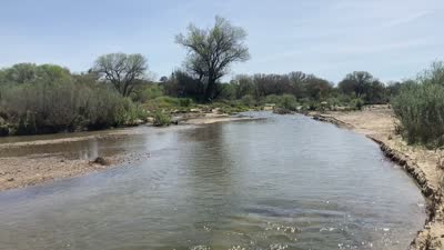 Wellsona - 2026-03-15