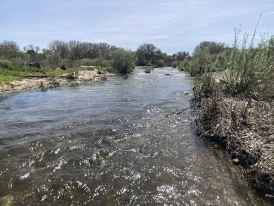 Wellsona - 2026-03-15