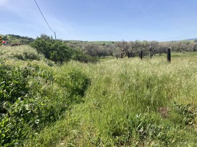 Bradley - 2026-03-15