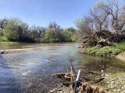 Bradley - 2026-03-15